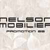 Nelson Mobilier Salon Equipment Promo